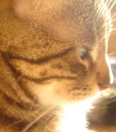 La recette de cuisine qui fait la fleur !