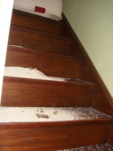 Après la poésie, la réalité !!!